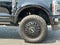 2024 Ford F-450SD Platinum DRW